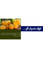 فواید مصرف آلو